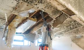 Best Mold Remediation for Healthcare Facilities  in Mansfield, PA